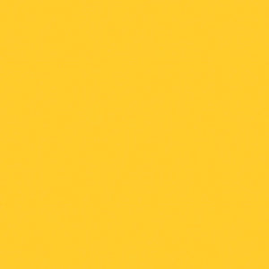 Simple Stories Say Cheese 4 Collection 12x12 Scrapbook Paper Yellow/Light Blue (10552)