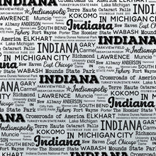 Load image into Gallery viewer, Scrapbook Customs 12x12 Scrapbook Paper Indiana Postage Map Paper (39435)
