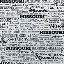 Load image into Gallery viewer, Scrapbook Customs 12x12 Scrapbook Paper Missouri Postage Map Paper (39446)
