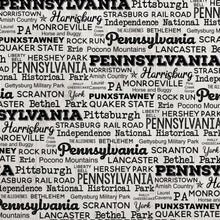 Load image into Gallery viewer, Scrapbook Customs 12x12 Scrapbook Paper Pennsylvania Postage Map Paper (39459)
