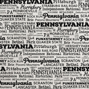 Scrapbook Customs 12x12 Scrapbook Paper Pennsylvania Postage Map Paper (39459)