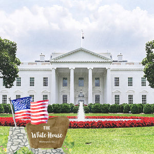 Scrapbook Customs 12x12 Scrapbook Paper Washington DC The White House Paper (39739)