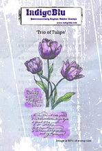 Load image into Gallery viewer, IndigoBlu Trio of Tulips A6 Stamp
