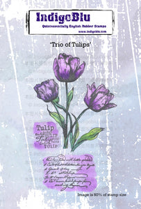 IndigoBlu Trio of Tulips A6 Stamp