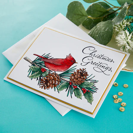 Spellbinders Paper Arts BetterPress Letterpress Press Plate Christmas Greetings (BP-071)