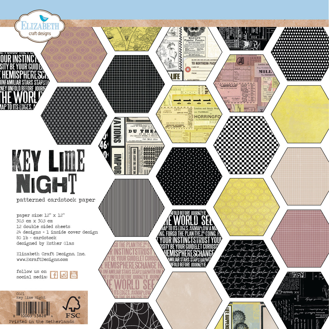 Elizabeth Craft Designs 12x12 Paper Pack Key Lime Night (C021)