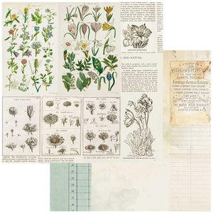 49 and Market Curators Botanical Collection 12x12 Scrapbook Paper Anthology (CB-35717)