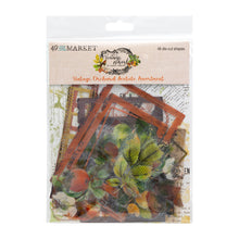 Load image into Gallery viewer, 49 &amp; Market Vintage Orchard Die Cut Acetate Assortment (VO-28904)
