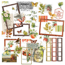 Load image into Gallery viewer, 49 &amp; Market Vintage Orchard Die Cut Acetate Assortment (VO-28904)
