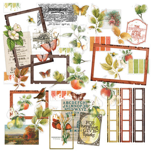 49 & Market Vintage Orchard Die Cut Acetate Assortment (VO-28904)