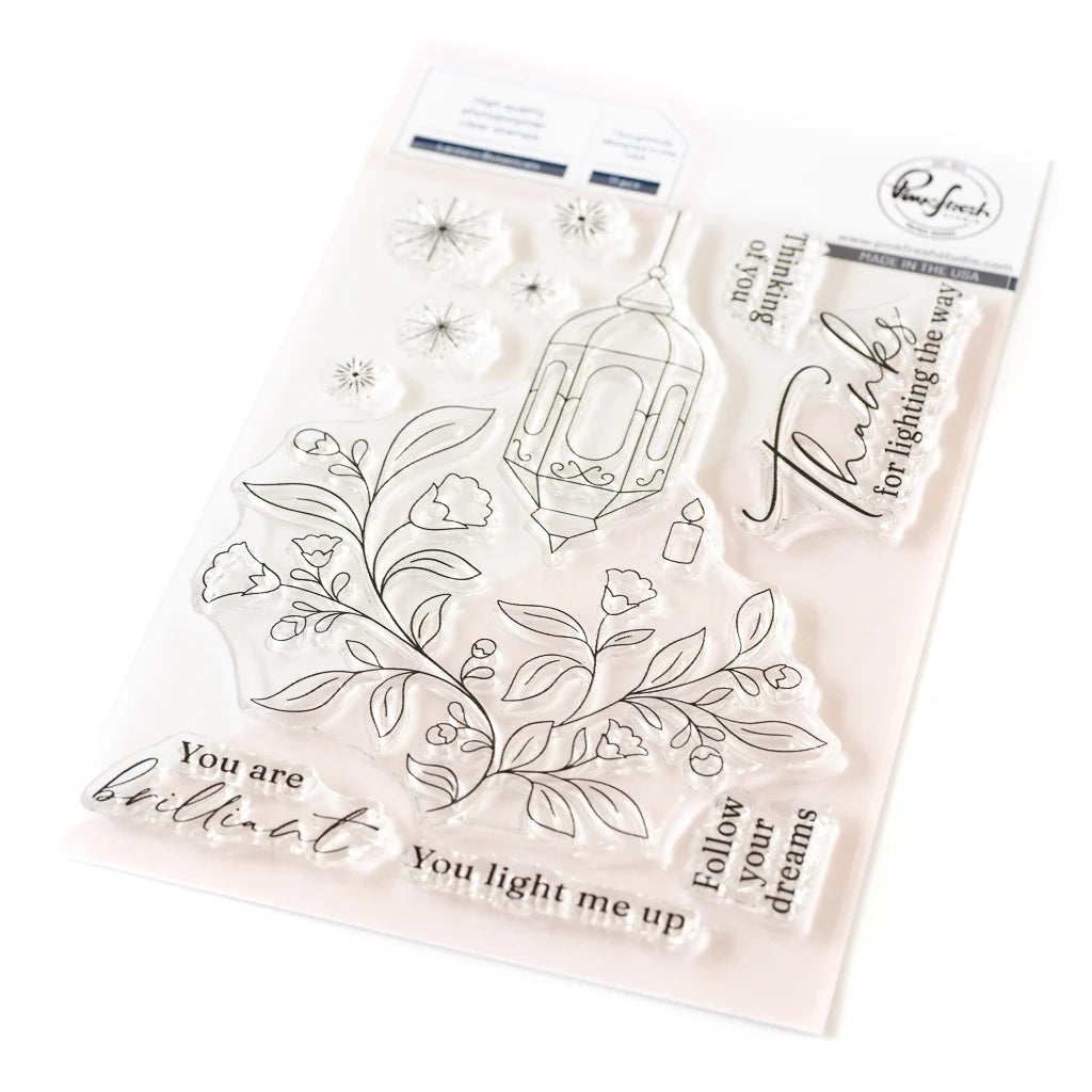 Pinkfresh Studio Clear Stamp Set + Coordinating Die + Stencil (219524/2197424/219624)