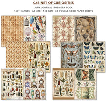 Load image into Gallery viewer, Ciao Bella - Cabinet of Curiosities Junk Journal &amp; Ephemera Book A4 32/Pkg (CBB002)
