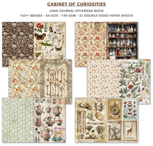 Load image into Gallery viewer, Ciao Bella - Cabinet of Curiosities Junk Journal &amp; Ephemera Book A4 32/Pkg (CBB002)
