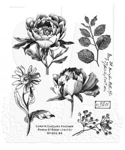 PRE-ORDER Stampers Anonymous Tim Holtz Cling Rubber Stamps Stamp French Garden (CMS487)