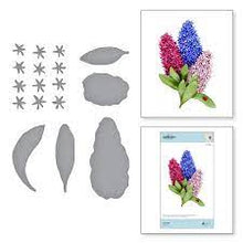 Load image into Gallery viewer, Spellbinders Cutting Die Hyacinth by Susan Tierney-Cockburn (S4-1083)
