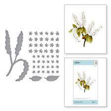 Load image into Gallery viewer, Spellbinders Cutting Die Spirea (Bridal Wreath) by Susan Tierney-Cockburn (S4-1084)
