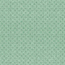 Load image into Gallery viewer, Simple Stories Country Christmas Collection 12x12 Scrapbook Paper Sage/Dots (11335)
