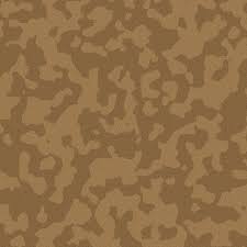 Scrapbook Customs - 12" x 12" Scrapbook Paper - Desert Camo - 14318