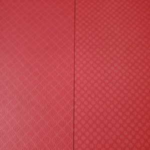 Authentique 12x12 Scrapbook Paper Lady Bug Two (SPO026)