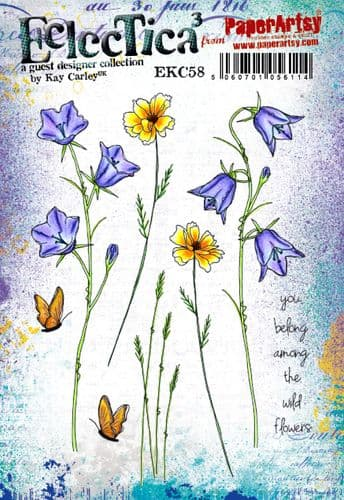 PaperArtsy Eclectica3 Stamp Set You Belong Among the Wild Flowers by Kay Carley (EKC58)