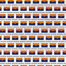 Load image into Gallery viewer, Scrapbook Customs 12x12 Scrapbook Paper Arizona Adventure Flag (38476a)
