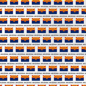 Scrapbook Customs 12x12 Scrapbook Paper Arizona Adventure Flag (38476a)