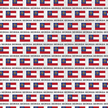 Load image into Gallery viewer, Scrapbook Customs 12x12 Scrapbook Paper Georgia Adventure Flag (38483a)
