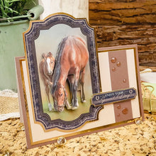 Load image into Gallery viewer, Hunkydory Crafts Limited Horse &amp; Country Decoupage Book (DECBOOK114)
