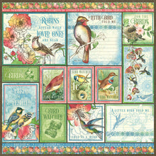 Load image into Gallery viewer, Graphic 45 Bird Watcher Collection 12X12 Scrapbook Paper - Look Up! (4502204)
