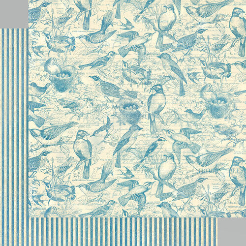 Graphic 45 Bird Watcher Collection 12X12 Scrapbook Paper - Flock Together (4502205)