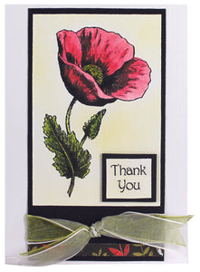 Woodware Craft Collection Clear Stamp Set Poppy (ADS506)