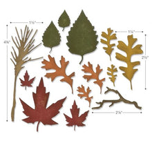 Load image into Gallery viewer, Sizzix Thinlits Die Set Fall Foliage by Tim Holtz (660955)
