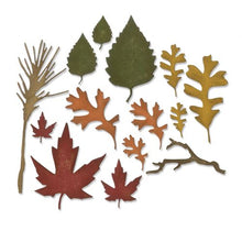 Load image into Gallery viewer, Sizzix Thinlits Die Set Fall Foliage by Tim Holtz (660955)
