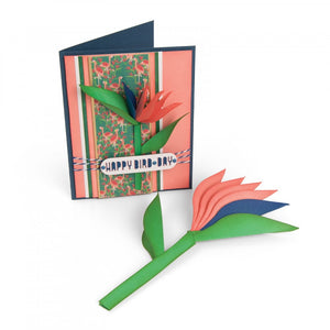 Sizzix Framelits Die Set Bird of Paradise, 2-D & 3-D (662782)