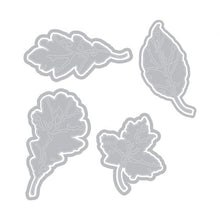 Load image into Gallery viewer, Sizzix Thinlits Dies Leaf Print by Tim Holtz (664970)
