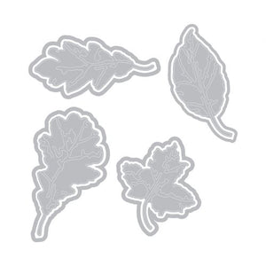 Sizzix Thinlits Dies Leaf Print by Tim Holtz (664970)