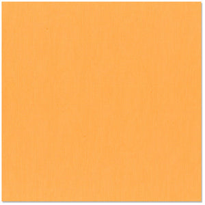 Bazzill Cardstock Mono 12x12 Apricot (309009)