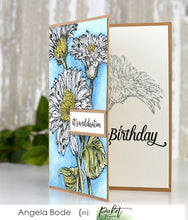 Load image into Gallery viewer, Picket Fence Studios Photopolymer Stamps Inside Quotes: Birthday (S-187)
