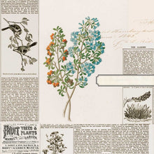 Load image into Gallery viewer, 49 and Market Curators Botanical Collection 12x12 Scrapbook Paper Clippings (CB-35656)
