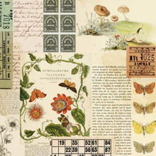 Load image into Gallery viewer, 49 and Market Curators Meadow Collection 12x12 Scrapbook Paper Nature&#39;s Clipping (CM-37155)
