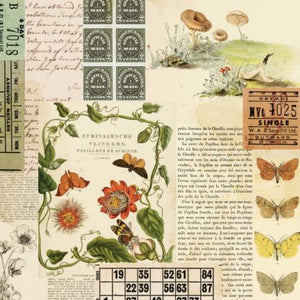 49 and Market Curators Meadow Collection 12x12 Scrapbook Paper Nature's Clipping (CM-37155)