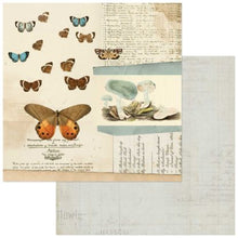 Load image into Gallery viewer, 49 and Market Curators Meadow Collection 12x12 Scrapbook Paper Papillon (CM-37162)
