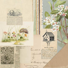 Load image into Gallery viewer, 49 and Market Curators Meadow Collection 12x12 Scrapbook Paper Flora (CM-37186)
