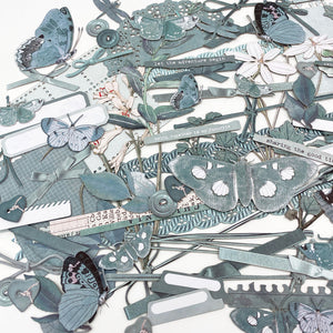 49 and Market Color Swatch Eucalyptus Laser Cut Elements (CSE-39913)