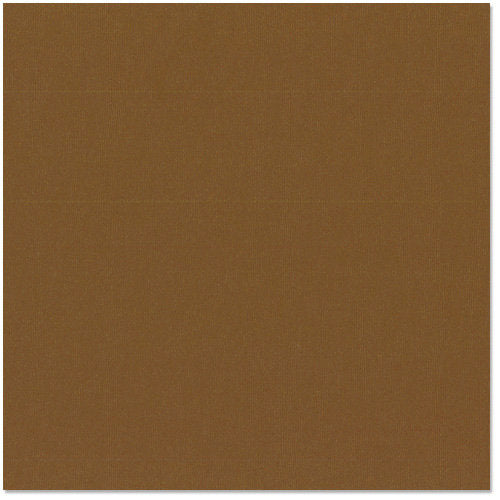 Bazzill Cardstock Mono 12x12 Chocolate (309034)