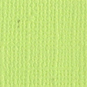 Bazzill Cardstock Mono 12x12 Limeade (309014)