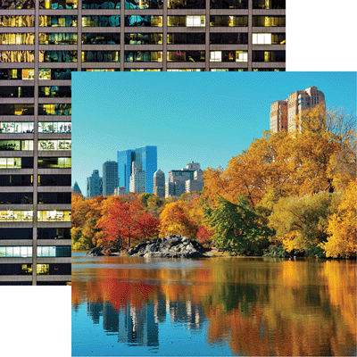 Reminisce New York Collection 12x12 Scrapbook Paper Central Park (NYO-002)