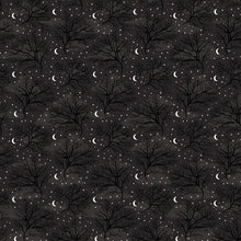 Load image into Gallery viewer, Echo Park Paper Co. Spooky Collection 12x12 Scrapbook Paper Spooky Night (SPO284007)
