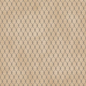 Kaisercraft Uncharted Waters Collection 12x12 Scrapbook Paper Streak (P2850)