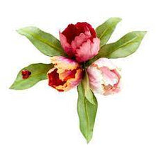 Load image into Gallery viewer, Spellbinders Cutting Die Parrot Tulip by Susan Tierney-Cockburn (S4-1082)
